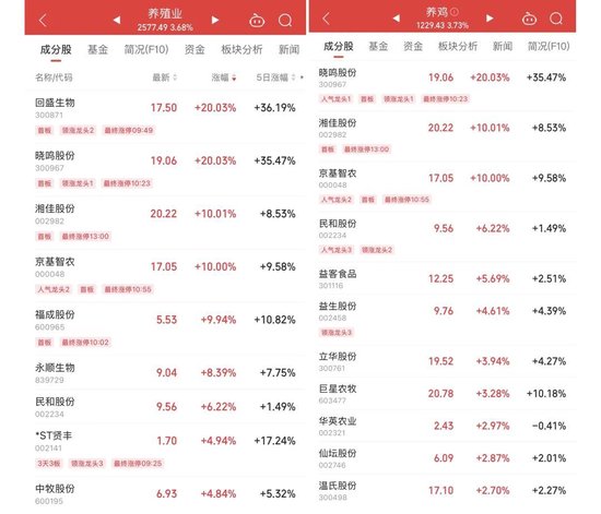 突然异动！直线涨超200%