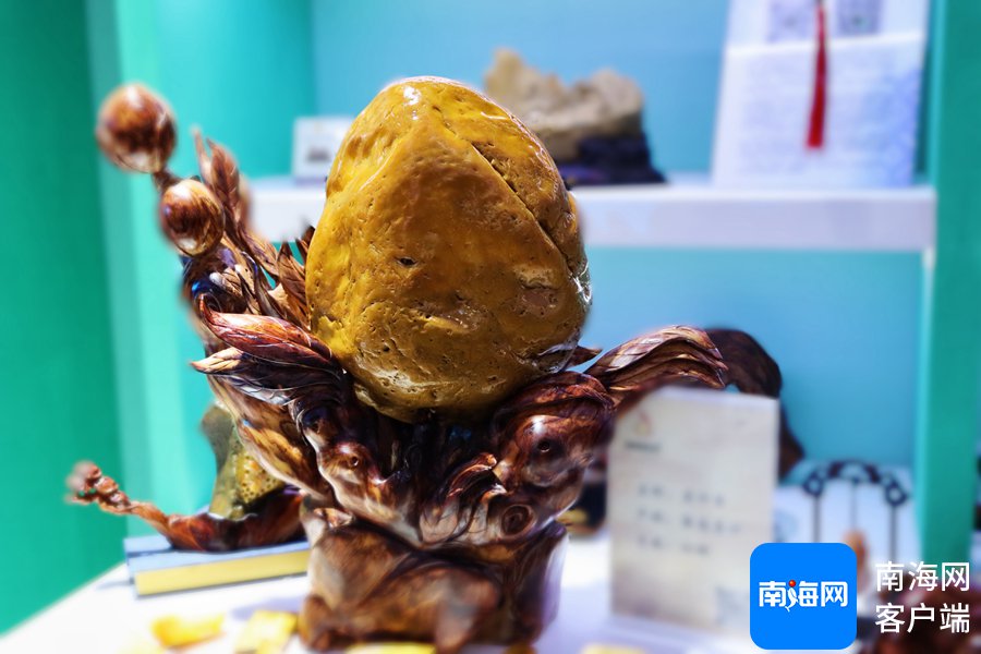 昌江玉、黎陶茶具、黎锦壁挂……昌江好物亮相消博会 赋能商贸文旅融合新机遇