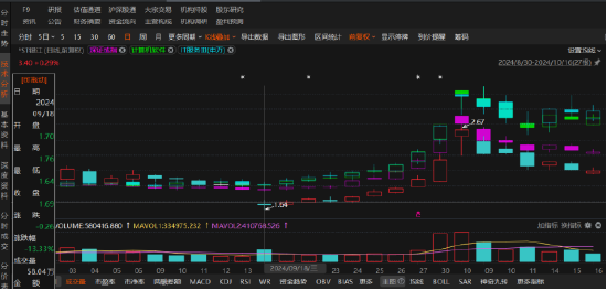 *ST银江信披违规被罚！定增投资者也能索赔